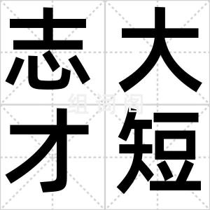 志大才短