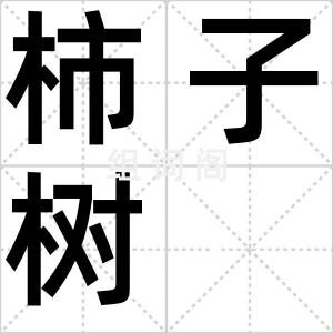 柿子树
