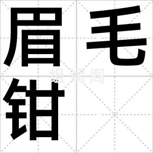 眉毛钳