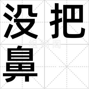 没把鼻