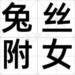 兔丝附女萝