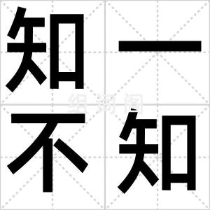 知一不知十