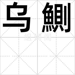 乌鰂