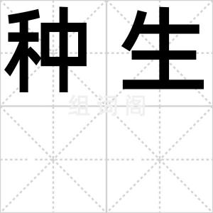 种生