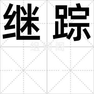 继踪