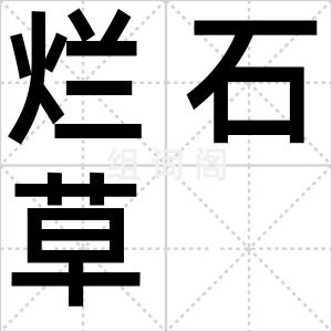 烂石草