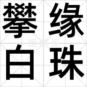 攀缘白珠树