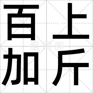 百上加斤