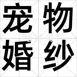 宠物婚纱照