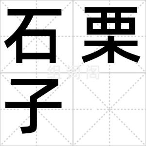 石栗子