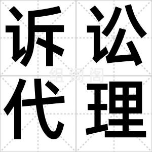 诉讼代理人