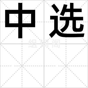 中选