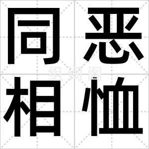 同恶相恤