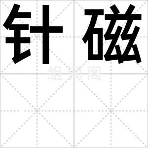 针磁