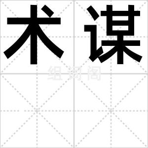 术谋
