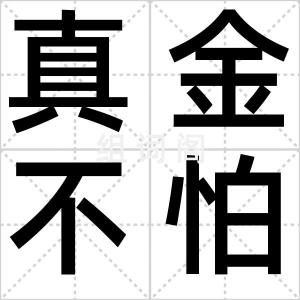 真金不怕火