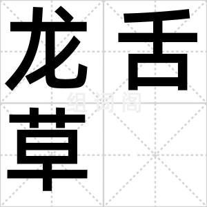 龙舌草