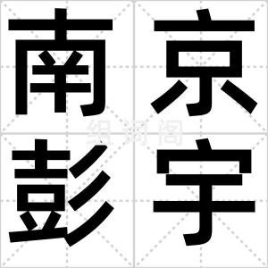 南京彭宇案