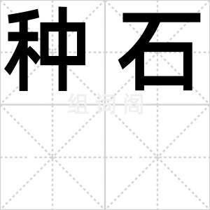 种石