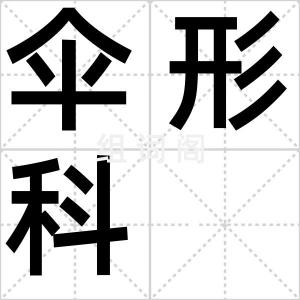 伞形科