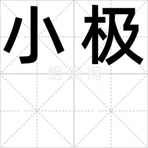 小极