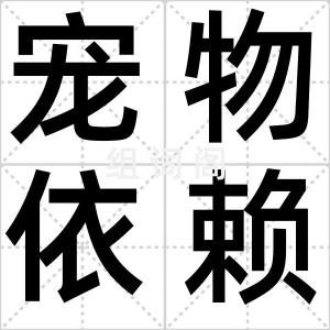 宠物依赖症