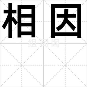 相因