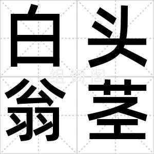 白头翁茎叶