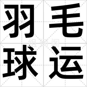 羽毛球运动
