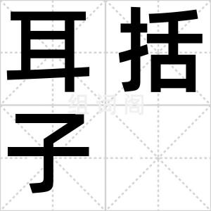 耳括子