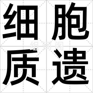细胞质遗传