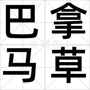巴拿马草帽