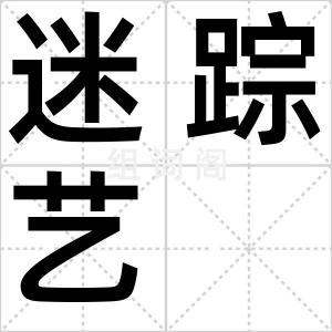 迷踪艺