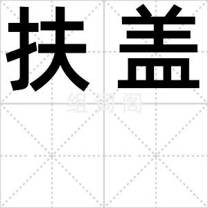 扶盖