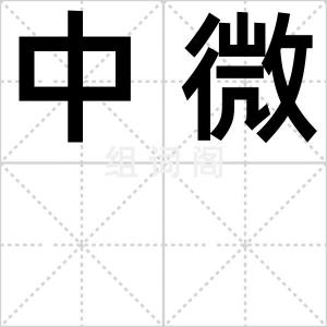 中微