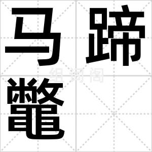 马蹄鼈