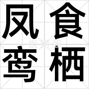 凤食鸾栖