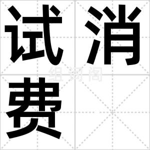 试消费