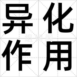 异化作用