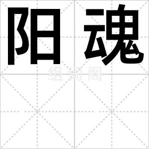 阳魂