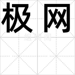 极网