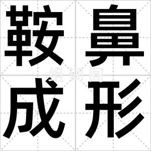 鞍鼻成形术