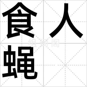食人蝇