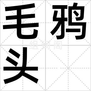 毛鸦头