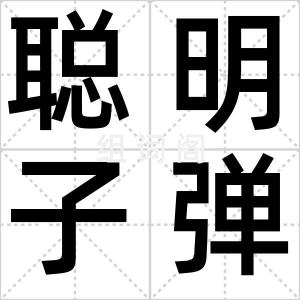 聪明子弹