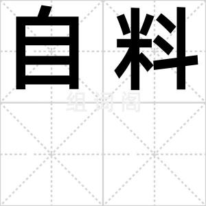 自料