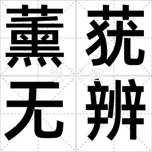 薰莸无辨