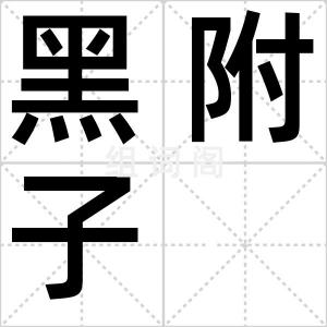 黑附子
