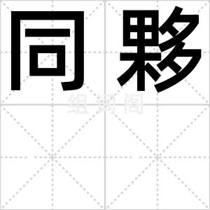 同夥