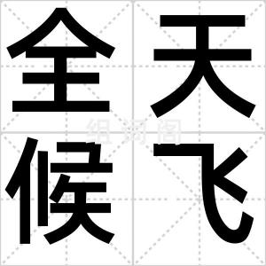 全天候飞机